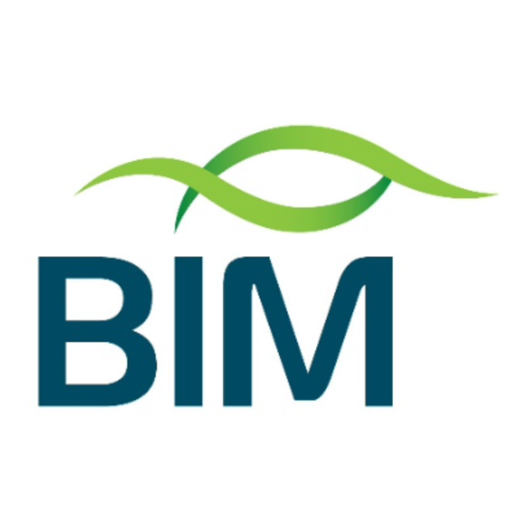 BIM