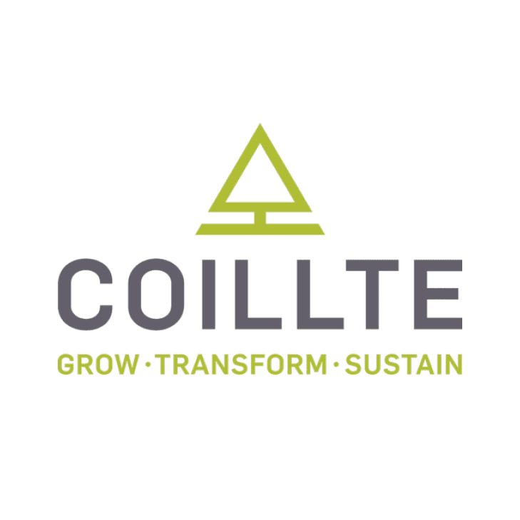 Coillte Current Vacancies